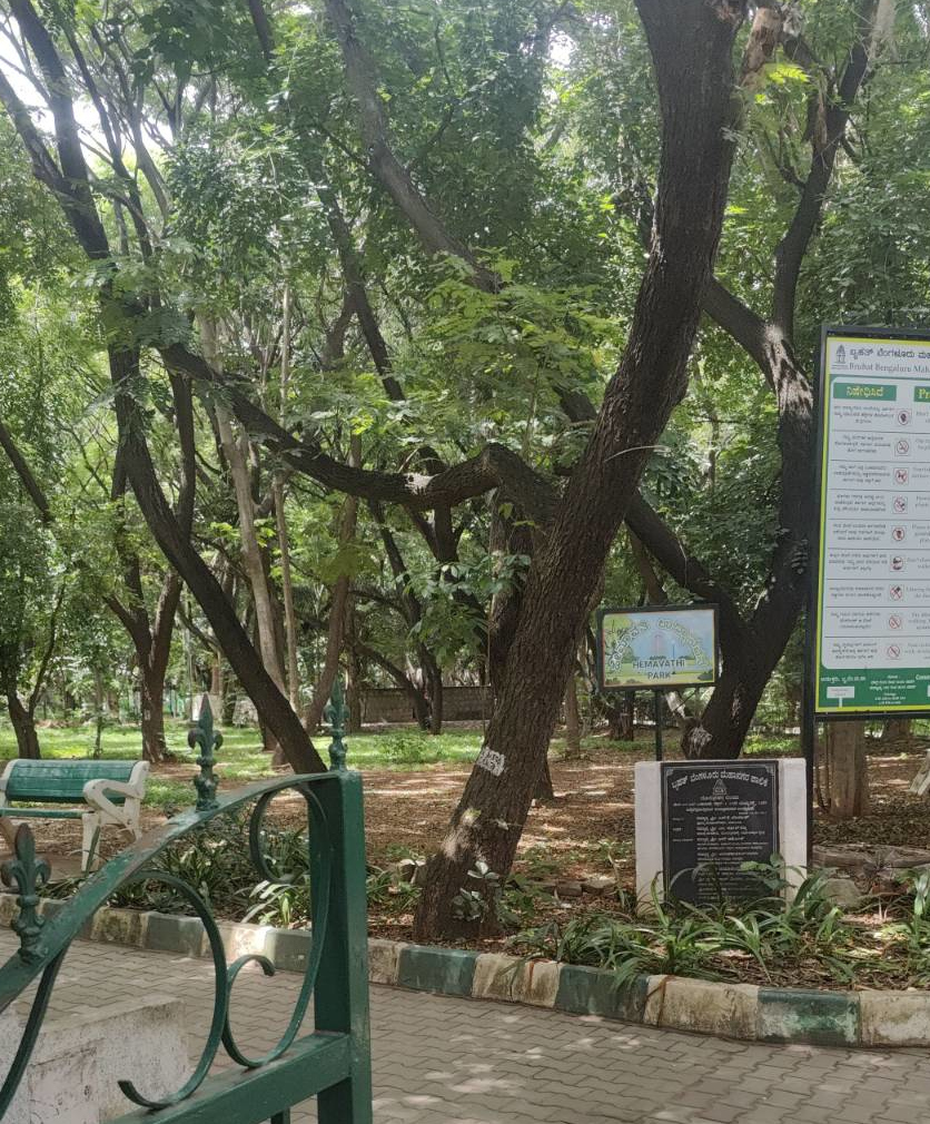 park.jpeg